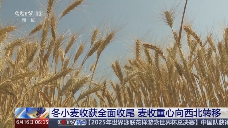 《朝闻天下》 20250616 06:00