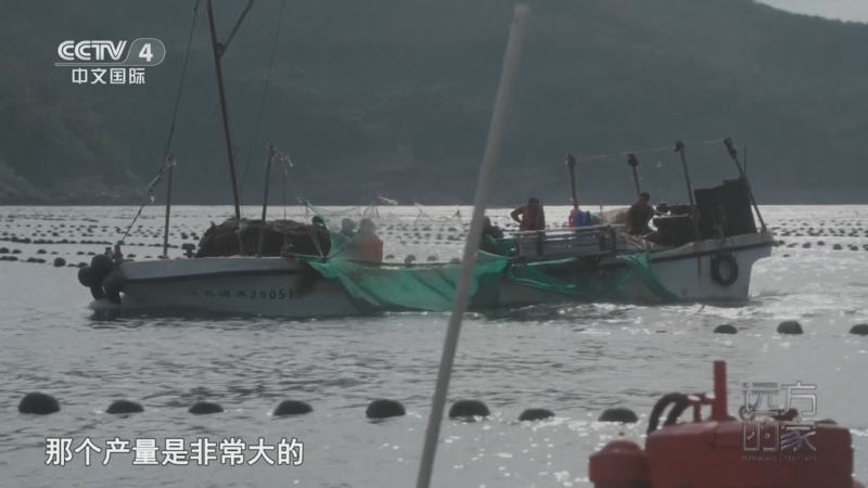 《远方的家》 20250630 海与城的交响 浪漫之都 魅力大连