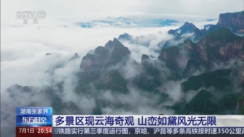 �ձ�������Ӥ�׶���������,���鿥���ֺ�2CD���� ��è˯���ˡ�