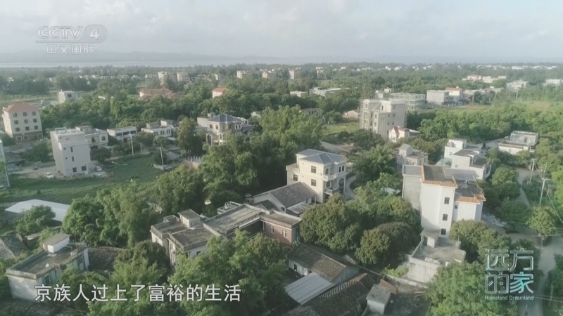 《远方的家》 20250704 海与城的交响 碧海金滩 自然馈赠