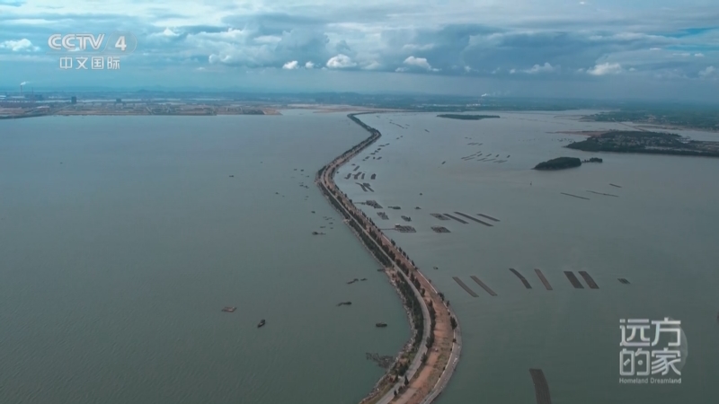 《远方的家》 20250716 海与城的交响 一见“钦”心 向海而生