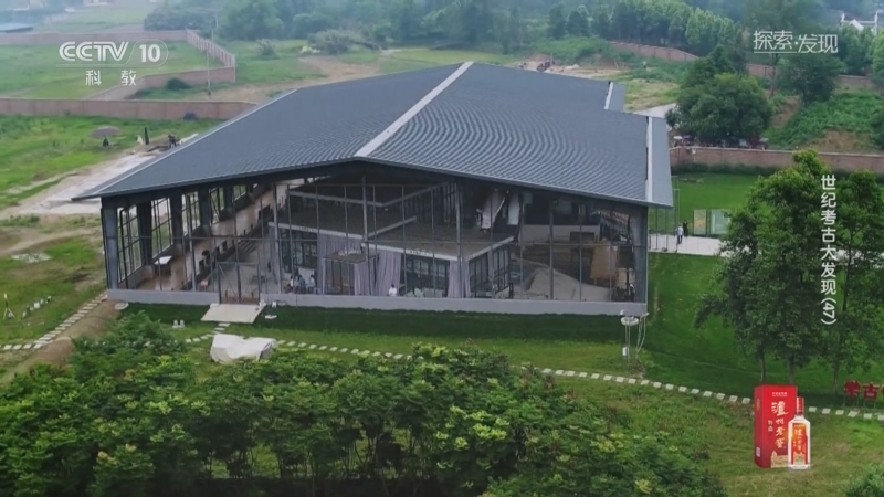《探索·发现》 20250725 世纪考古大发现（47）