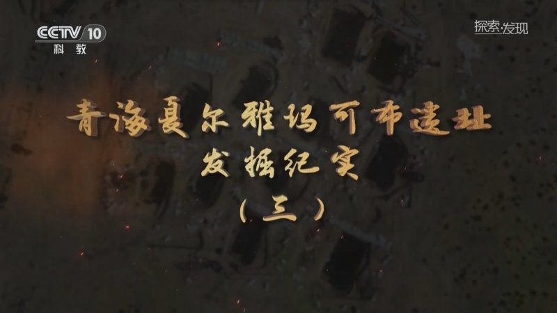 《探索·发现》 20250803 2025考古进行时 第一季 青海夏尔雅玛可布遗址发掘纪实（3）
