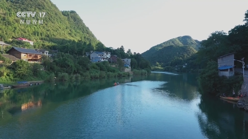 《谁知盘中餐》 20250804 绿水青山的馈赠 大自然的甜滋味
