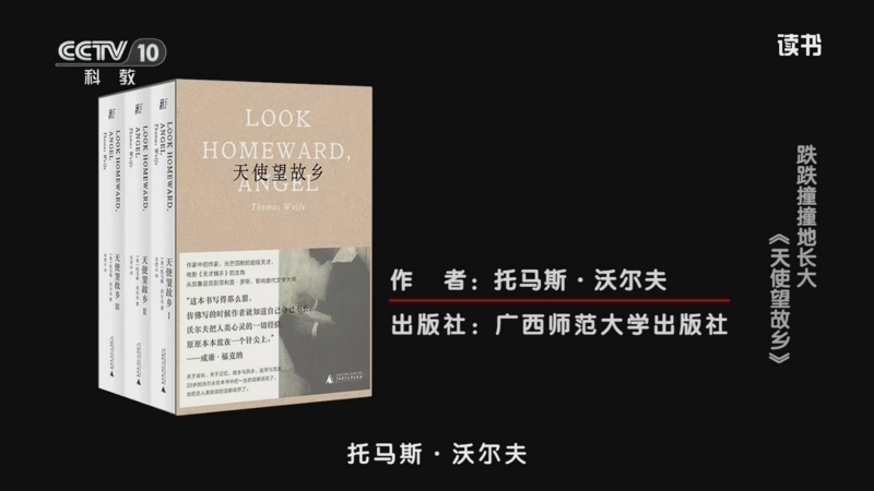 《读书》 20250809 托马斯·沃尔夫 《天使望故乡》 跌跌撞撞地长大：《天使望故乡》