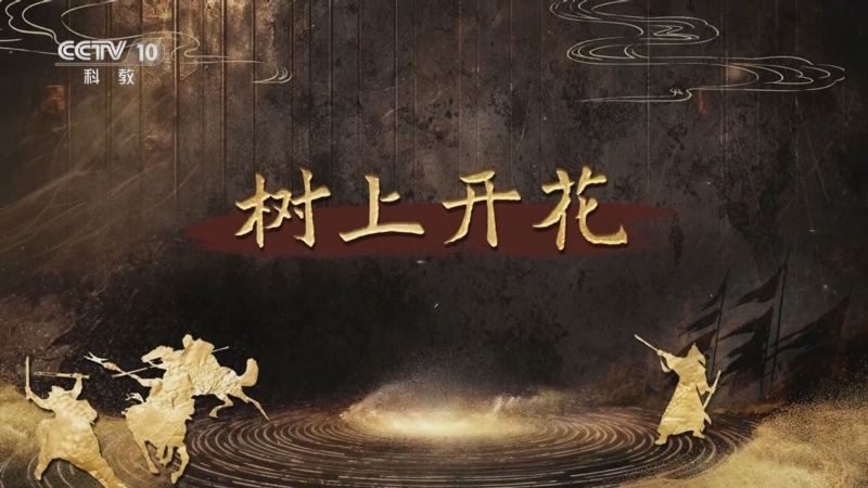 《百家讲坛》 20250814 趣解三十六计（下部） 11 树上开花
