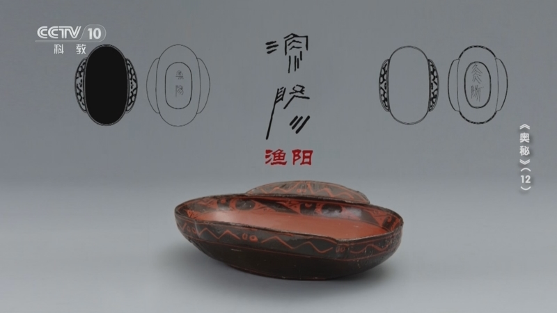 《探索·发现》 20250814 奥秘（12）