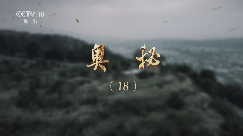 《探索·发现》 20250820 奥秘（18）
