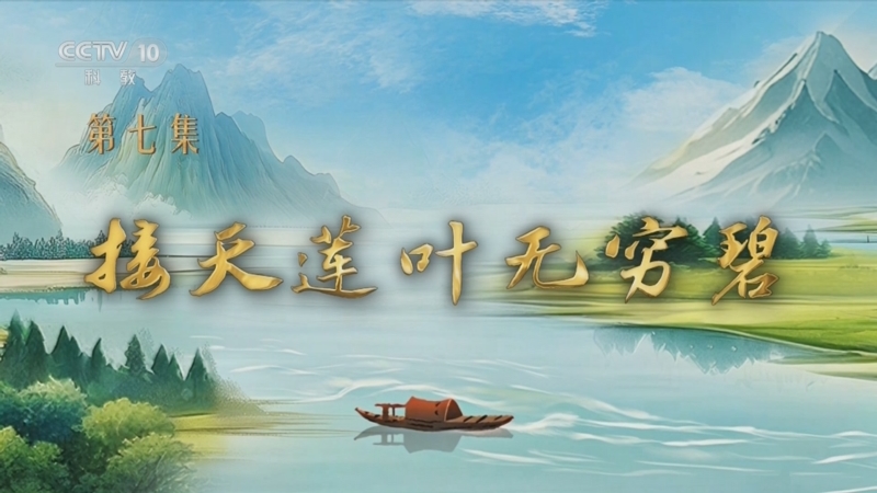 《百家讲坛》 20250821 特别节目《我见青山》（7） 接天莲叶无穷碧