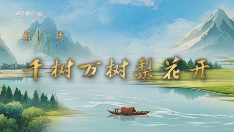 《百家讲坛》 20250825 特别节目《我见青山》（11） 千树万树梨花开