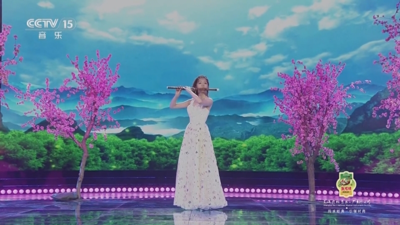 《风华国乐》 20250831