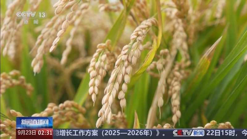 《新闻直播间》 20250923 02:00