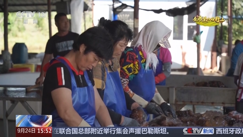 《新闻直播间》 20250924 15:00