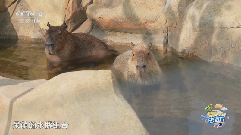 《远方的家》 20250926 鲲鹏少年去远方 乐游水韵之城