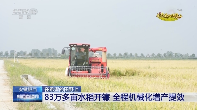 《新闻直播间》 20250926 10:00