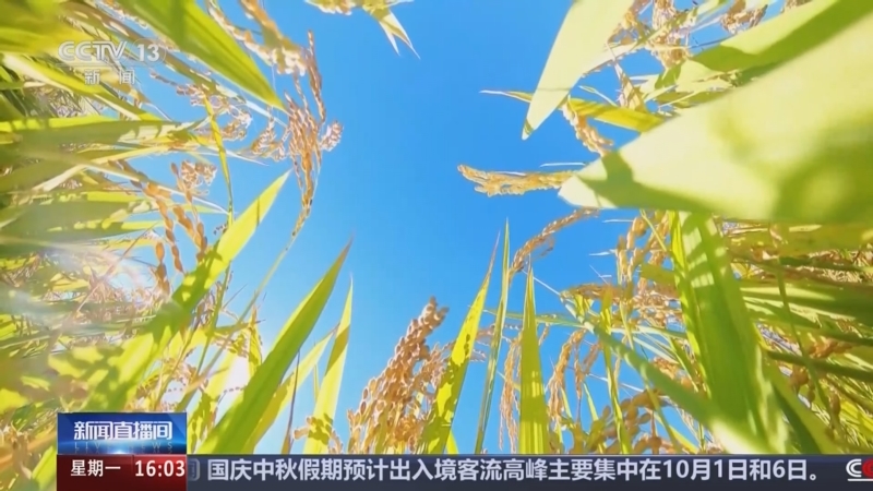 《新闻直播间》 20250929 16:00