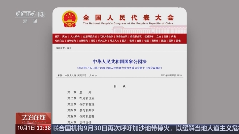 《法治在线》 20251001