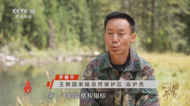 《道德观察(日播版)》 20251004 闪耀的平凡——我在高原上“追”动物
