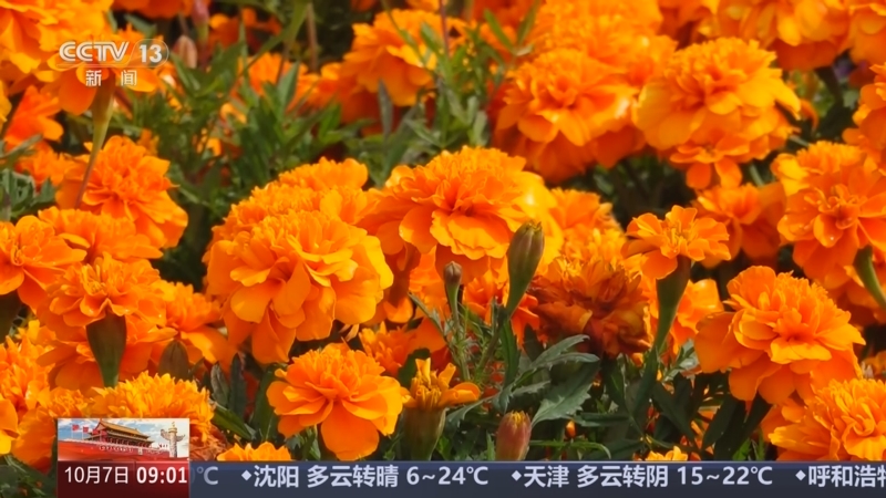 《新闻直播间》 20251007 09:00