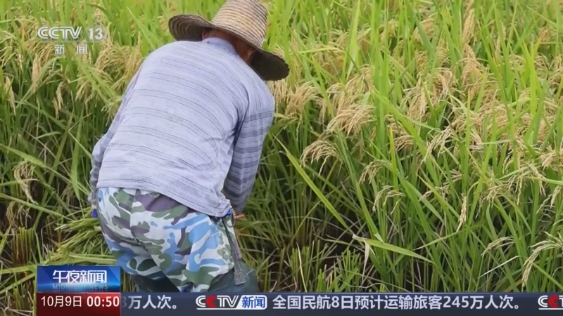 《午夜新闻》 20251009