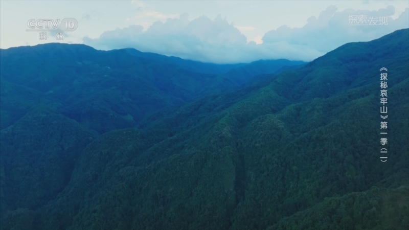 《探索·发现》 20251011 《探秘哀牢山》第一季（2）