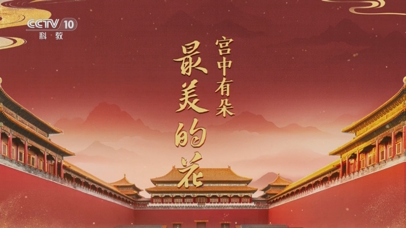 《百家讲坛》 20251015 探秘紫禁城 6 宫中有朵最美的花