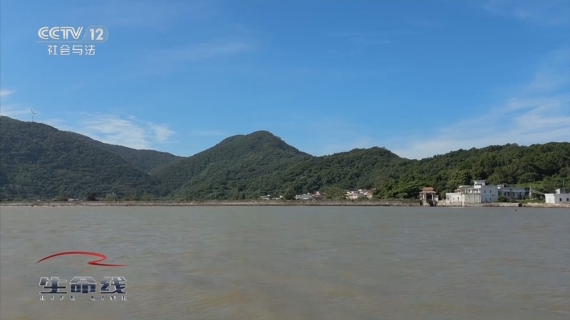 《生命线》 周末特别节目《应急时刻》 20251019 台风之下——生命防线