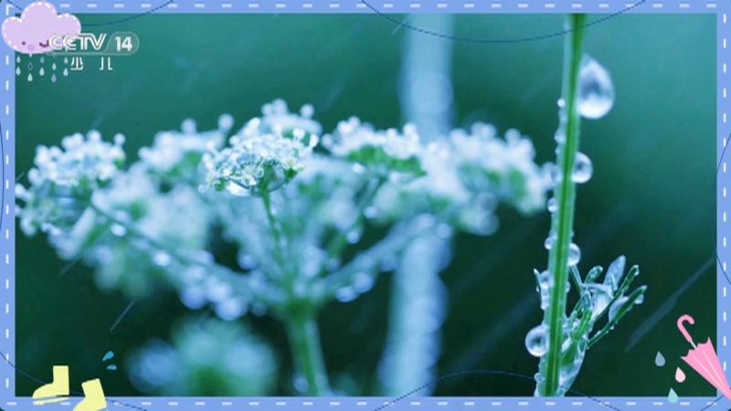 《小小智慧树》 20251020