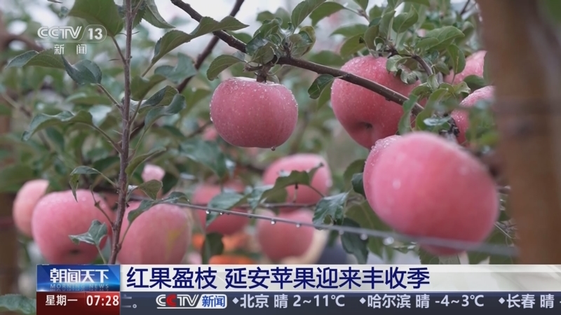 《朝闻天下》 20251020 07:00