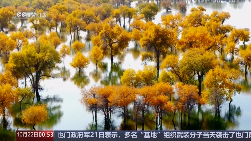 《午夜新闻》 20251022