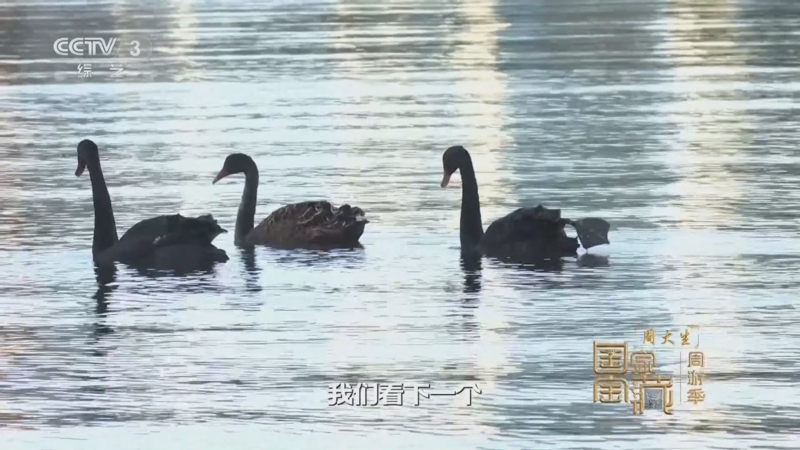 《国家宝藏·周游季》 20251023