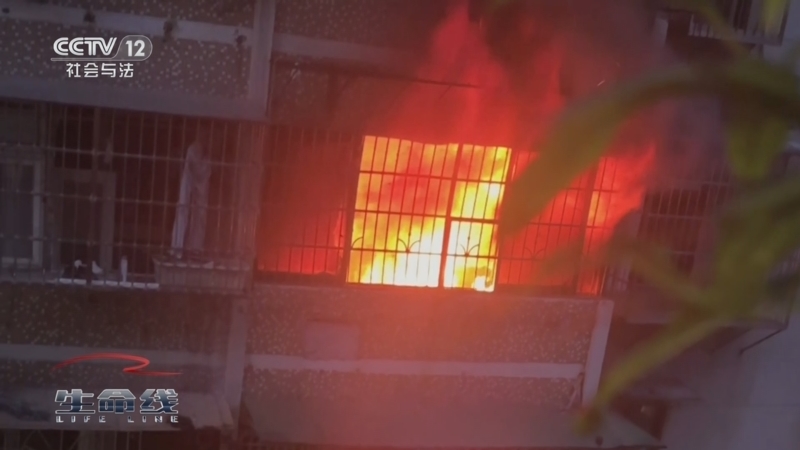 《生命线》 20251024