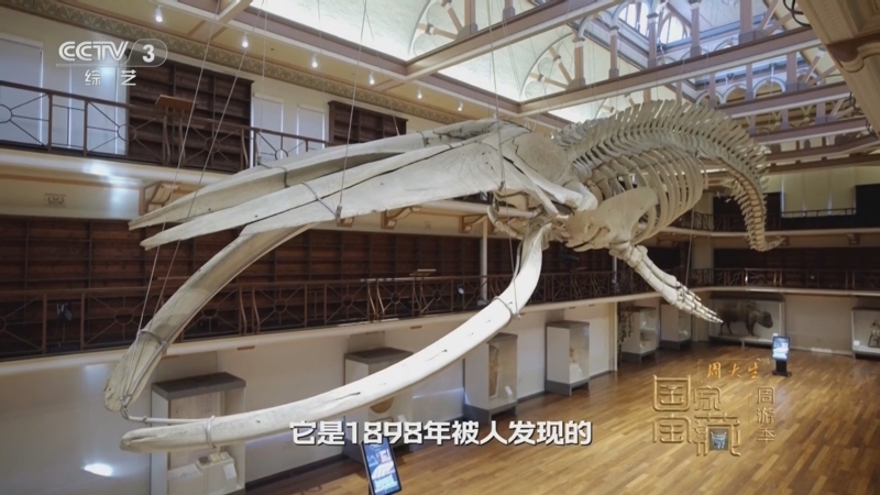 《国家宝藏·周游季》 20251025