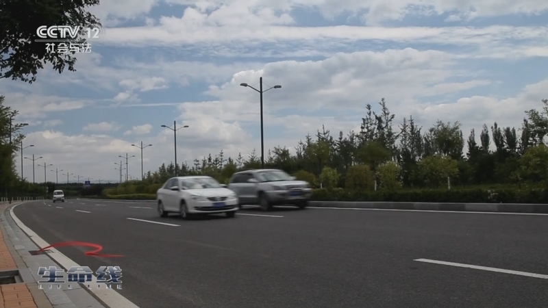 《生命线》 20251026