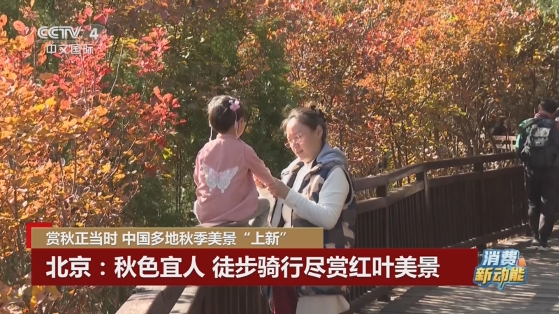 《中国新闻》 20251103 18:00