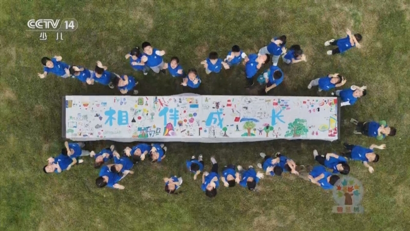 《智慧树》 20251105