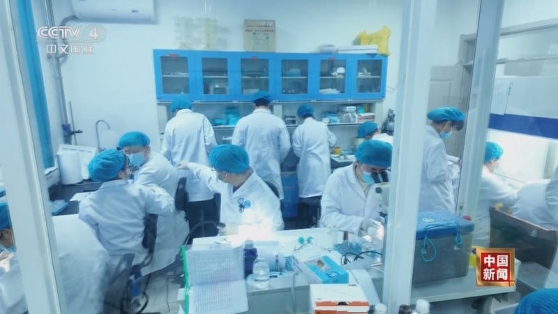 《中国新闻》 20251116 04:00