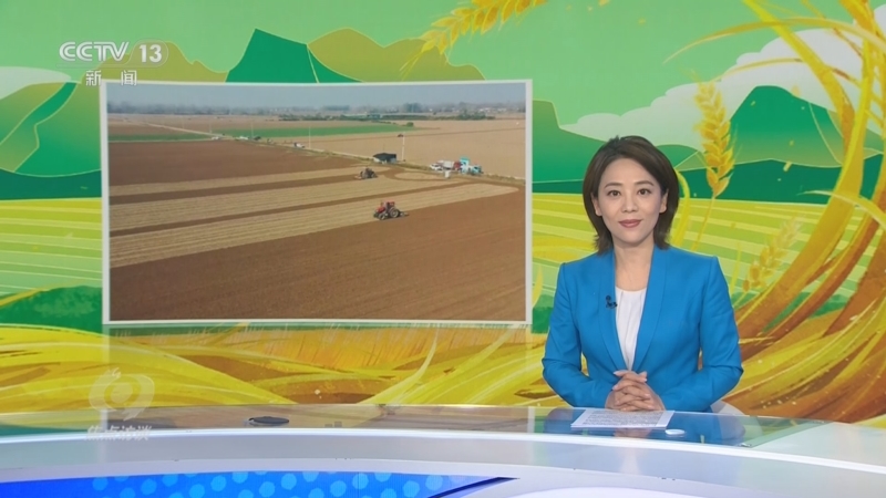 《焦点访谈》 20251120 抢！雨歇秋种忙