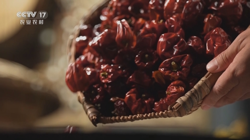 《谁知盘中餐》 20251120 丰收来敲门 火辣辣的家乡味