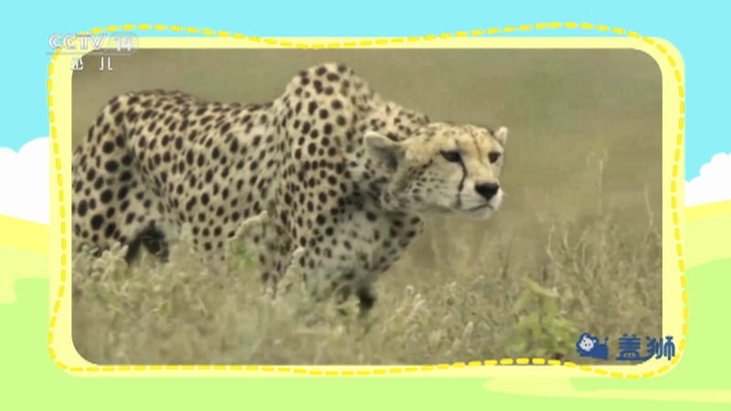 《小小智慧树》 20251120