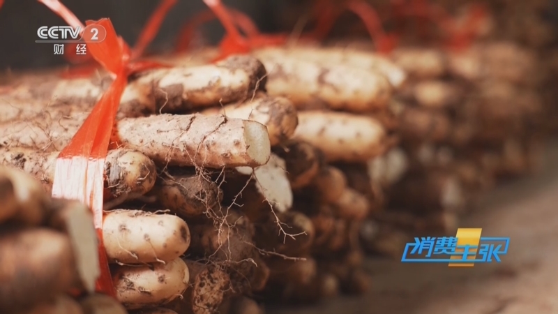 《消费主张》 20251125 秋冬进补好时节，益气健脾的山药怎么选？