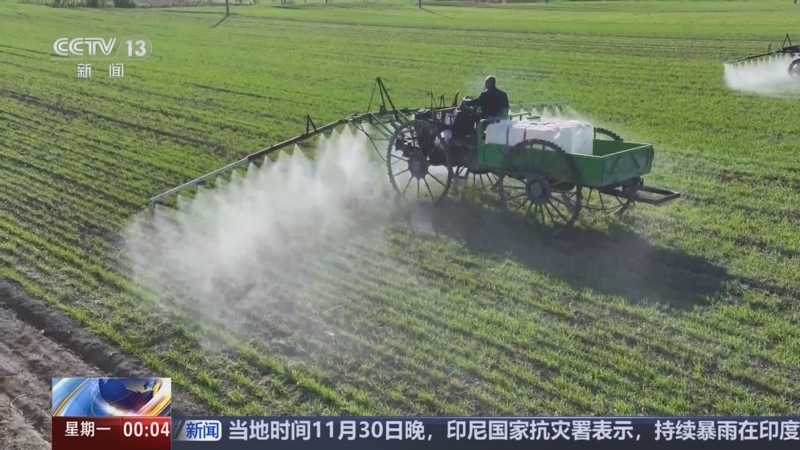 《午夜新闻》 20251201