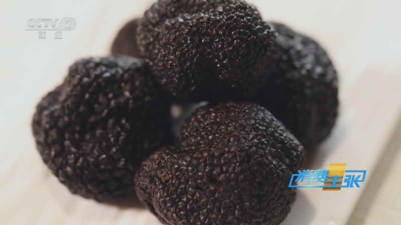 《消费主张》 20251203 冬藏养生，这份餐桌宝物请收好！（三）：松露
