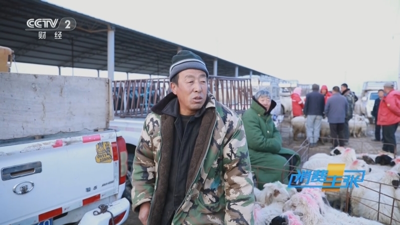 《消费主张》 20251204 冬藏养生，这份餐桌宝物请收好！（四）：羊肉