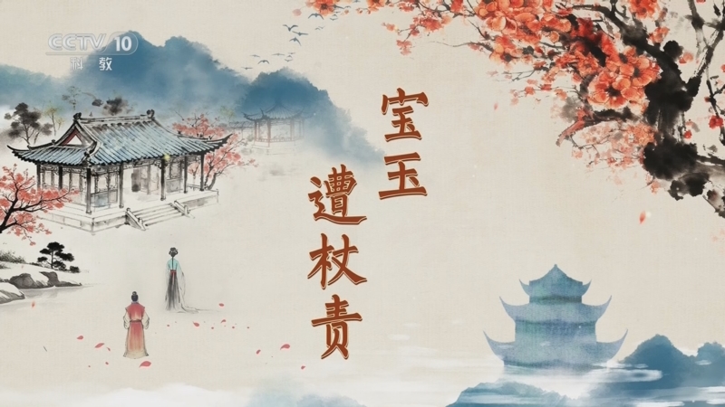 《百家讲坛》 20251219 红楼名场面（第二部） 7 宝玉遭杖责