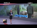 [聚焦三农]正确处理马蜂窝的方法CCTV节目官网CCTV17央视网(cctv.com)