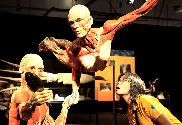    