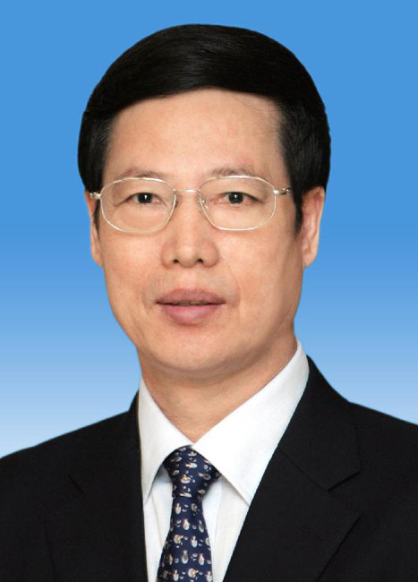 张高丽_2013年两会_央视网