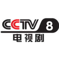 cctv 8