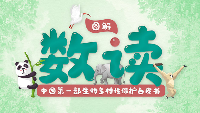 央视网_世界就在眼前